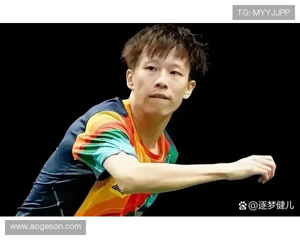 杭州排球队以53分领跑大满贯积分榜展现强劲实力